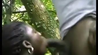 Beleza Africana Adora Sexo Anal