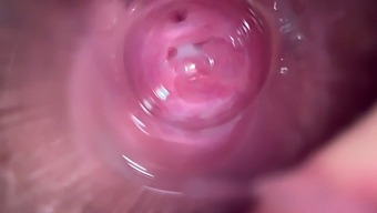 Amateur Brunette'S Intimate Massage With Camera Closeup